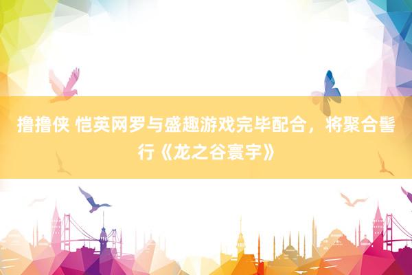 撸撸侠 恺英网罗与盛趣游戏完毕配合，将聚合髻行《龙之谷寰宇》