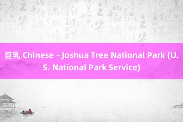 巨乳 Chinese - Joshua Tree National Park (U.S. National Park Service)