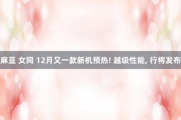 麻豆 女同 12月又一款新机预热! 越级性能， 行将发布