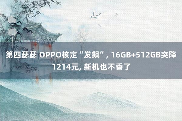 第四瑟瑟 OPPO核定“发飙”， 16GB+512GB突降1214元， 新机也不香了