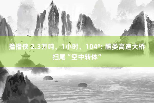 撸撸侠 2.3万吨、1小时、104°: 醴娄高速大桥扫尾“空中转体”