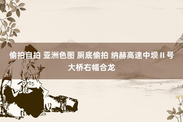偷拍自拍 亚洲色图 厕底偷拍 纳赫高速中坝Ⅱ号大桥右幅合龙