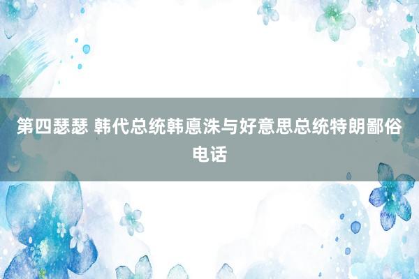 第四瑟瑟 韩代总统韩悳洙与好意思总统特朗鄙俗电话